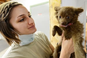 a vet visit
